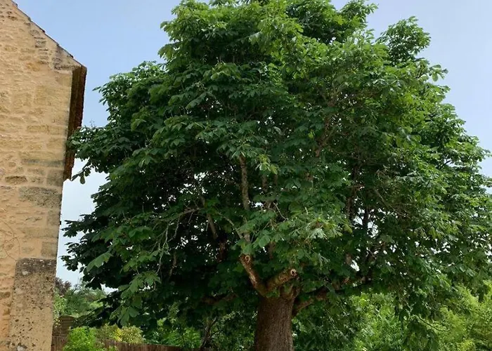 Сasa de vacaciones La Bichonelle - Marronnier Pour 2 Saint-Crépin-et-Carlucet